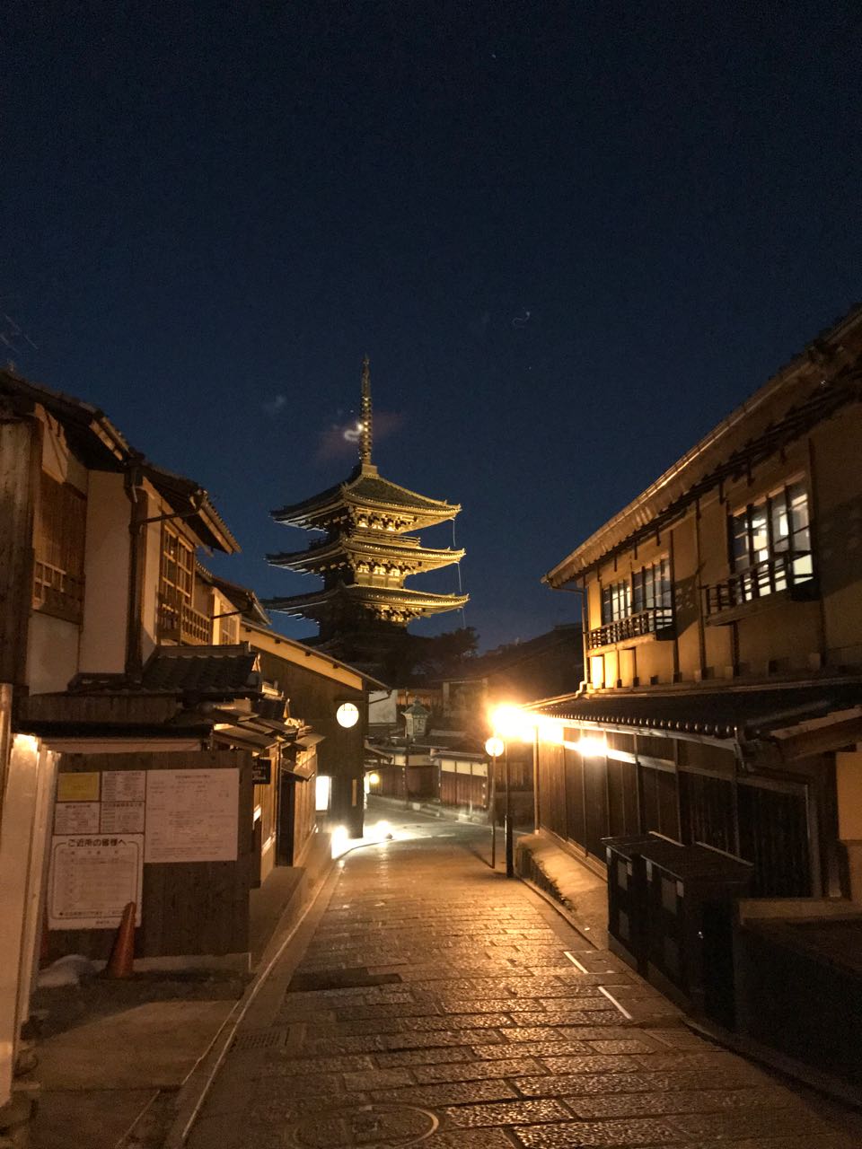 pagoda at night.jpg