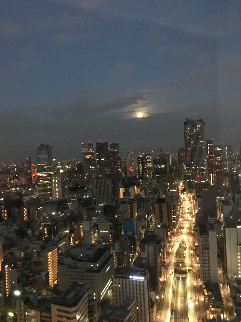 tokyo night moon.jpg