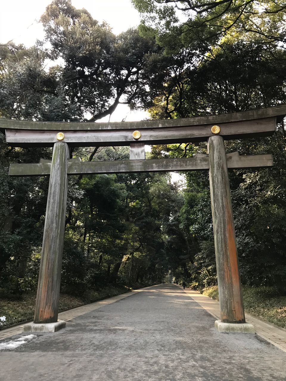 Meiji gate.jpg