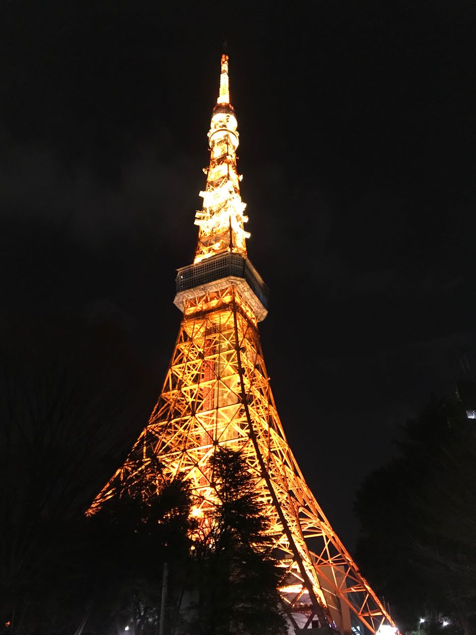 Tokyo tower at night.jpg