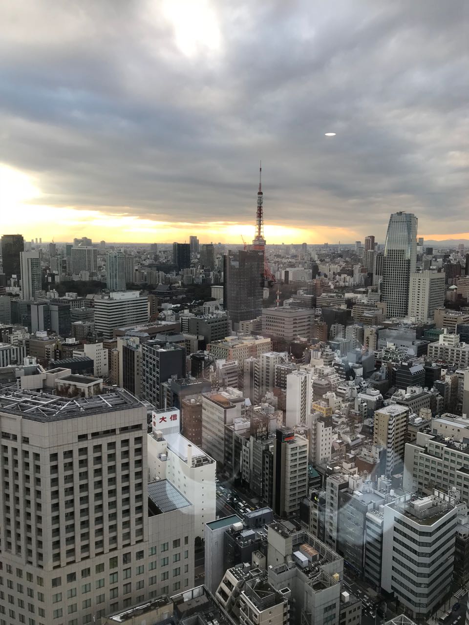 Tokyo view.jpg