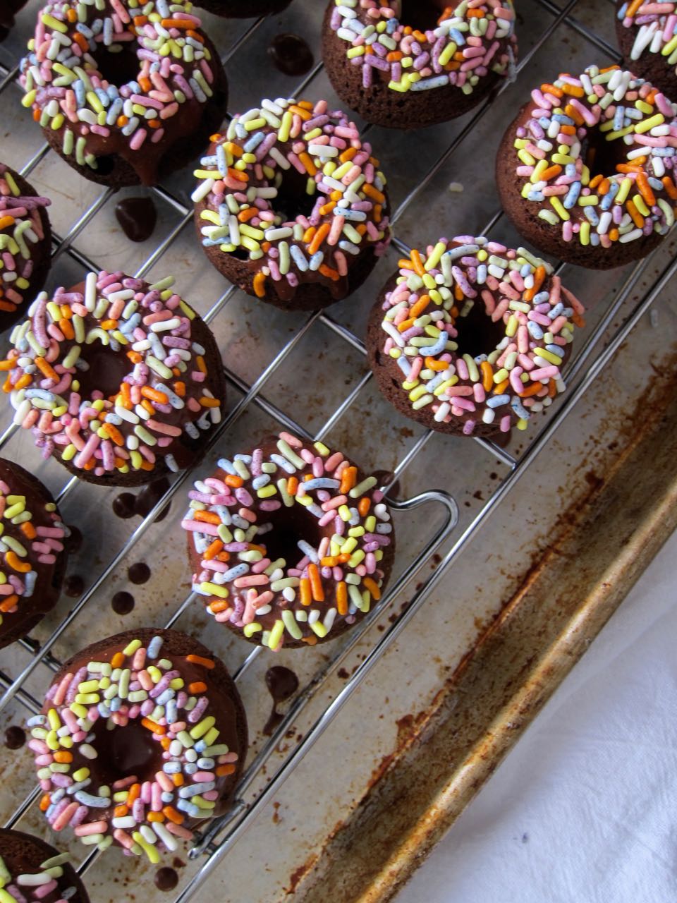 chocolate mini donuts with sprinkles.jpg