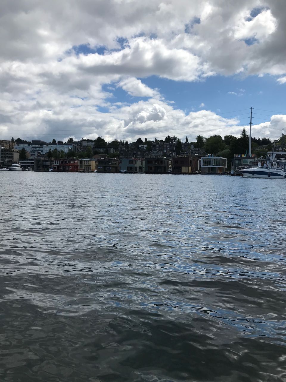 Lake Union Houseboats.jpg