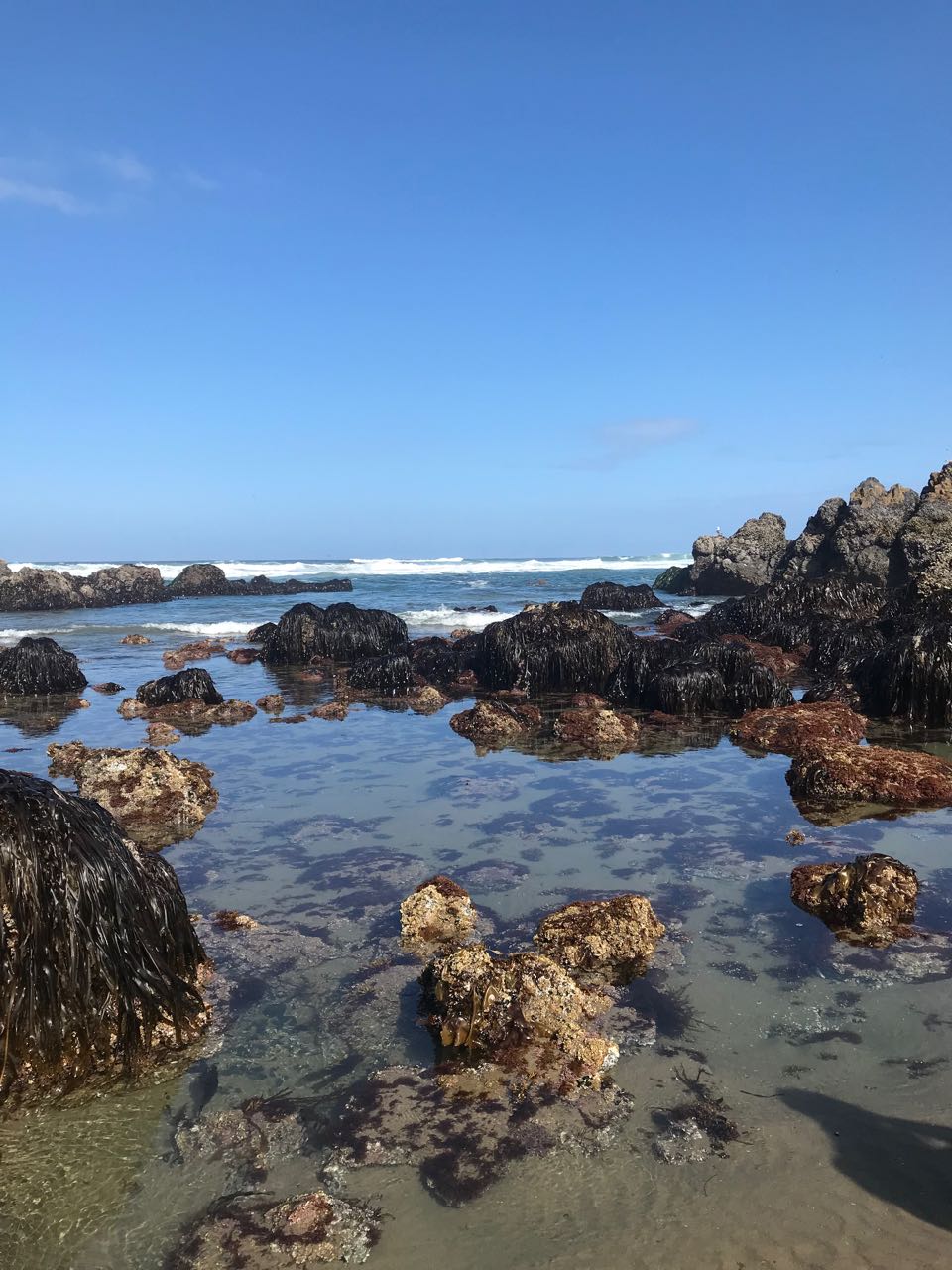 Cannon Beach.jpg