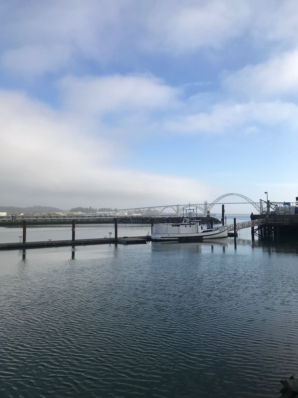 Newport bridge view.jpg