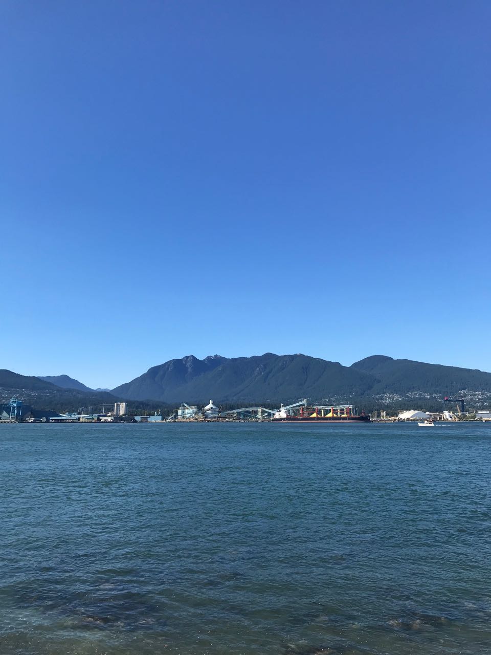 vancouver harbour.jpg