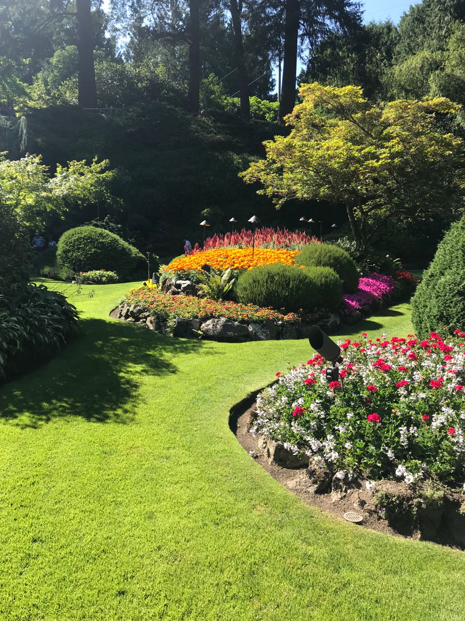 Butchart Garden.jpg