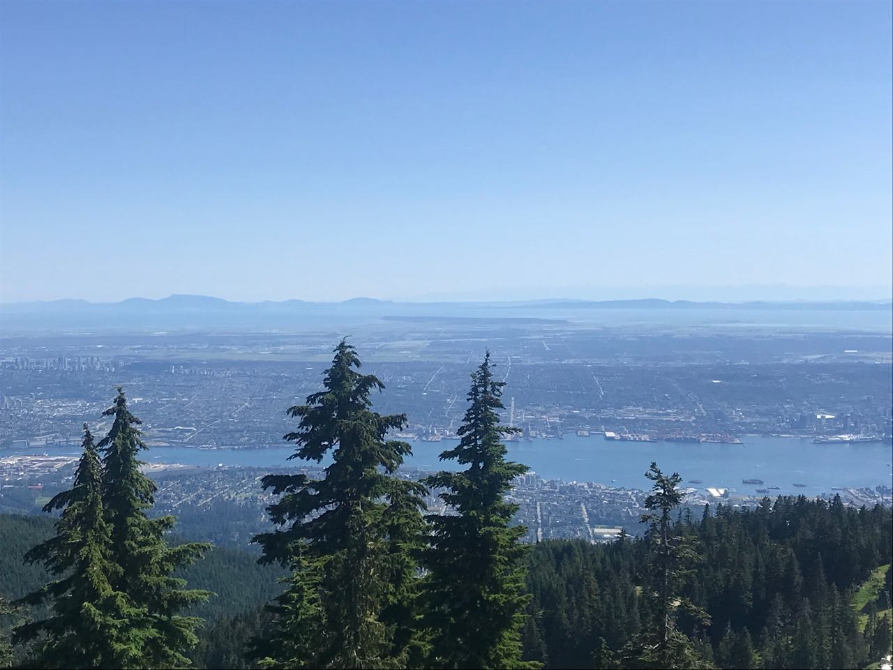 Vancouver from grouse mountain.jpg