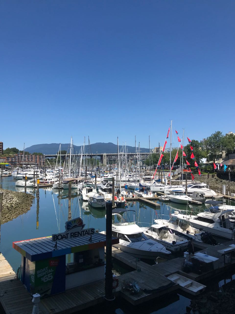 Boats at Granville Island.jpg