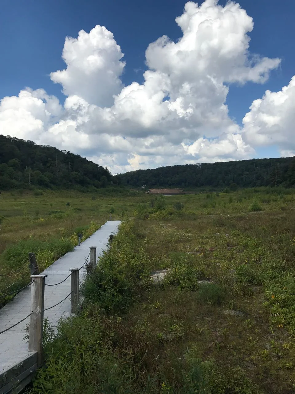 Mountain Lake Pier.jpg
