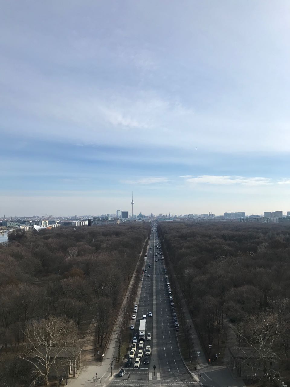 view from victory column.jpg