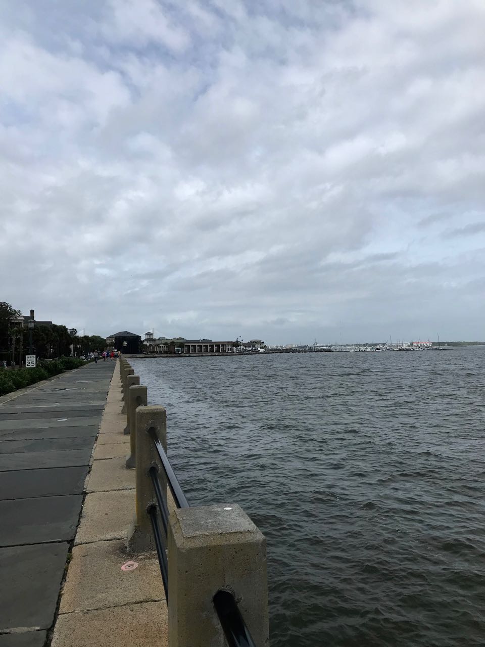 Charleston sea wall.jpg