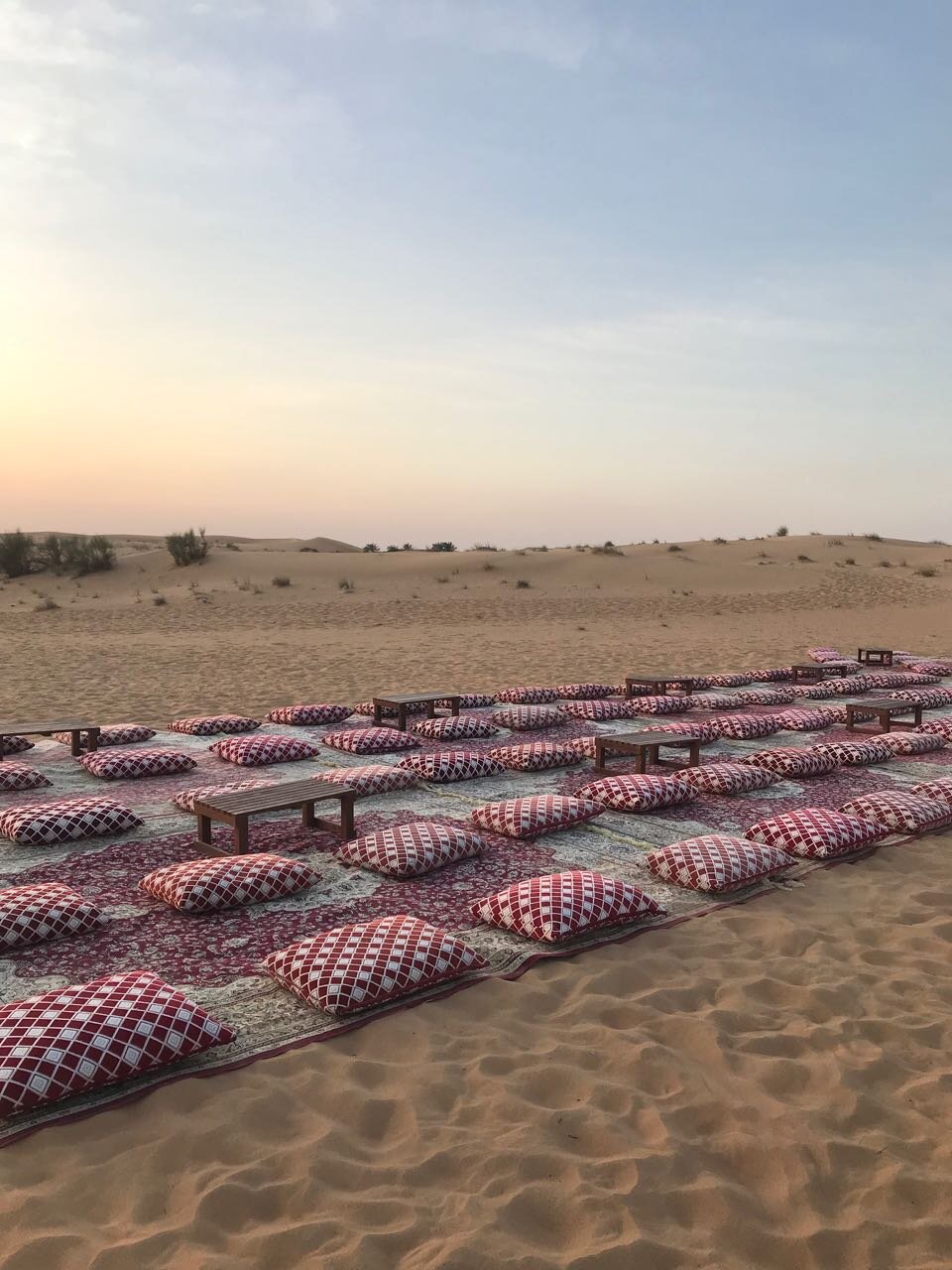cushions in the desert.jpg