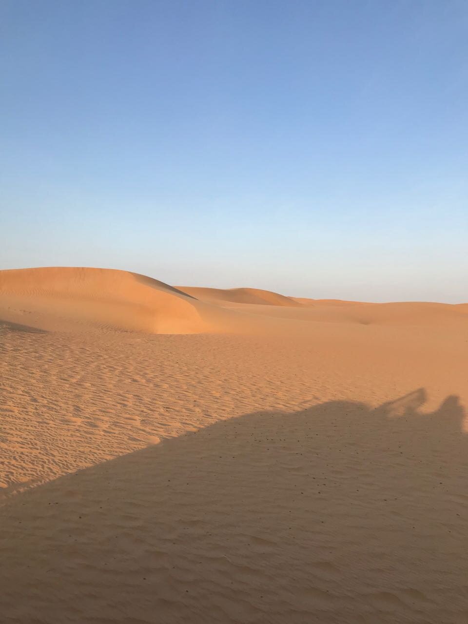 Desert dunes.jpg
