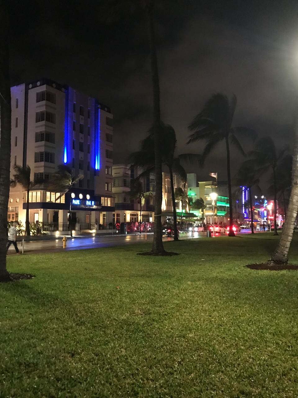 Miami Beach at Night.jpg