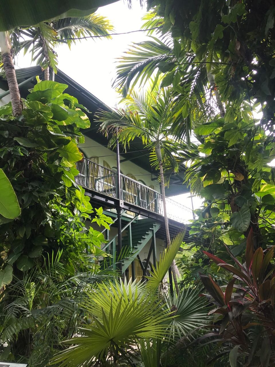 Key West Hemingway House foliage.jpg