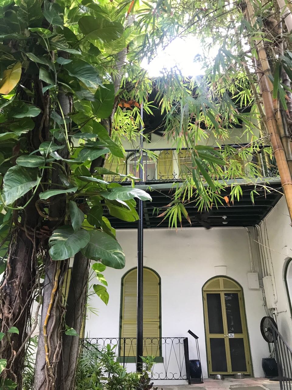 Key West Hemingway House.jpg