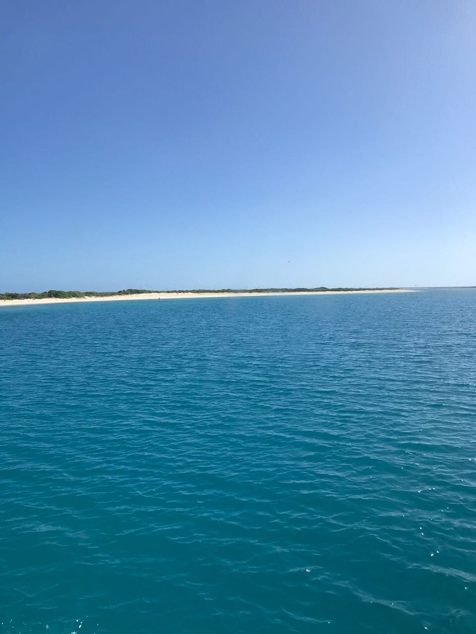 Dry Tortugas beach.jpg