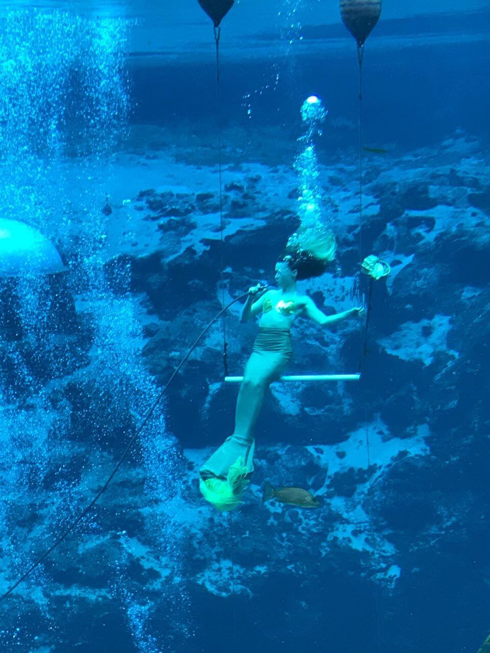 Weeki Wachee Mermaid 2.jpg