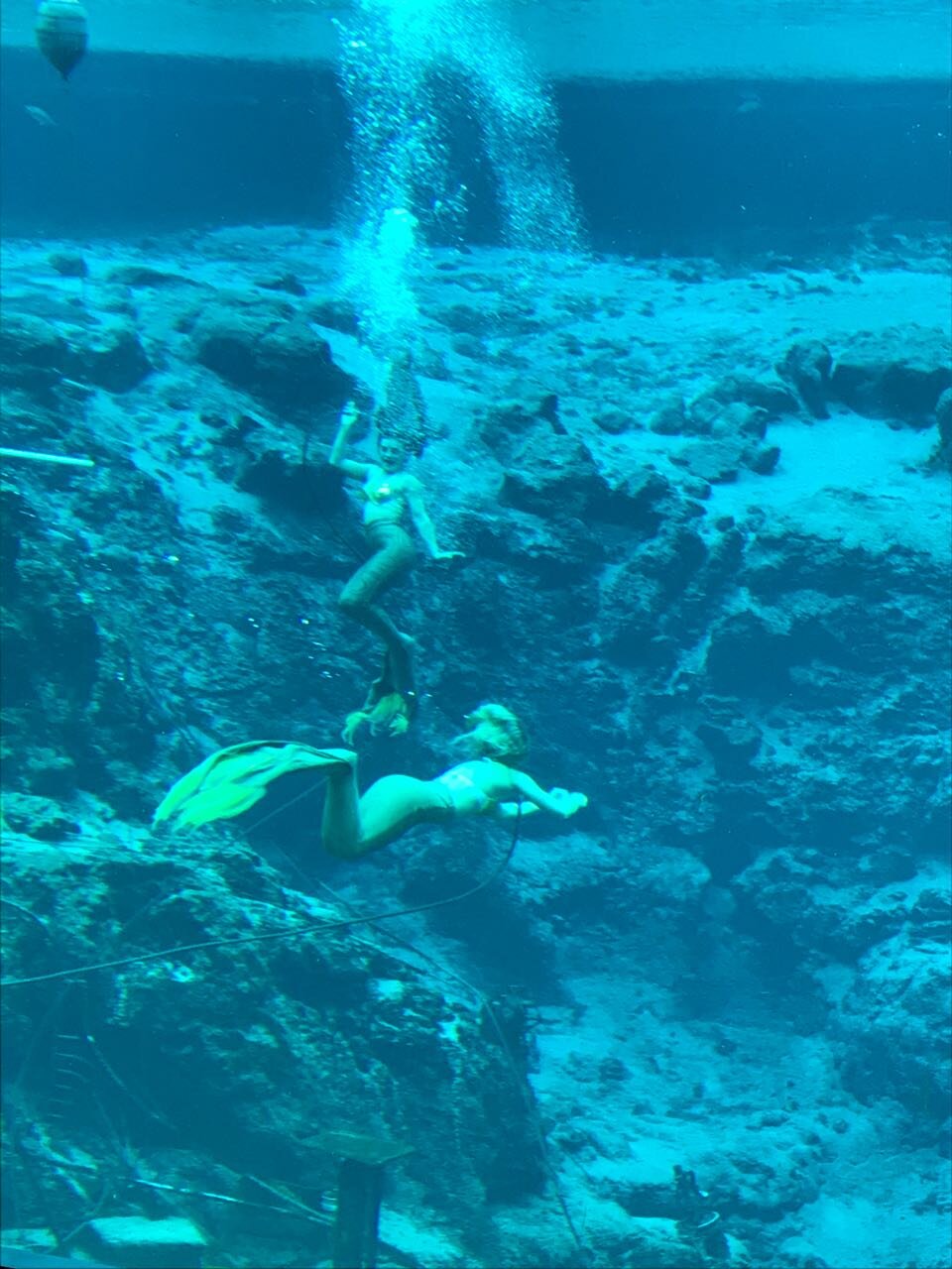 Weeki Wachee Mermaid.jpg