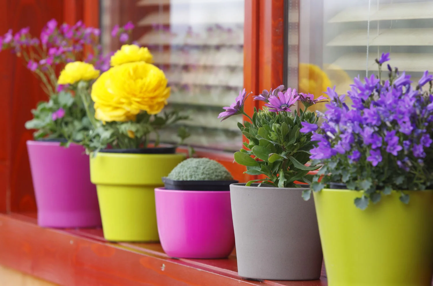      

 
    "Judy provides exceptional service by focusing on the needs of the client and developing creative solutions to overcome obstacles that arise. In addition to providing the real estate services h&nbsp;  er clients expect, Judy uses her net