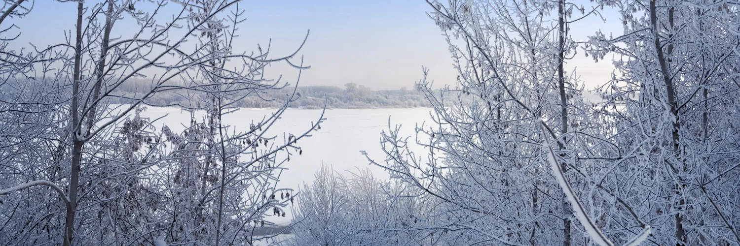 finger lake winter.jpg