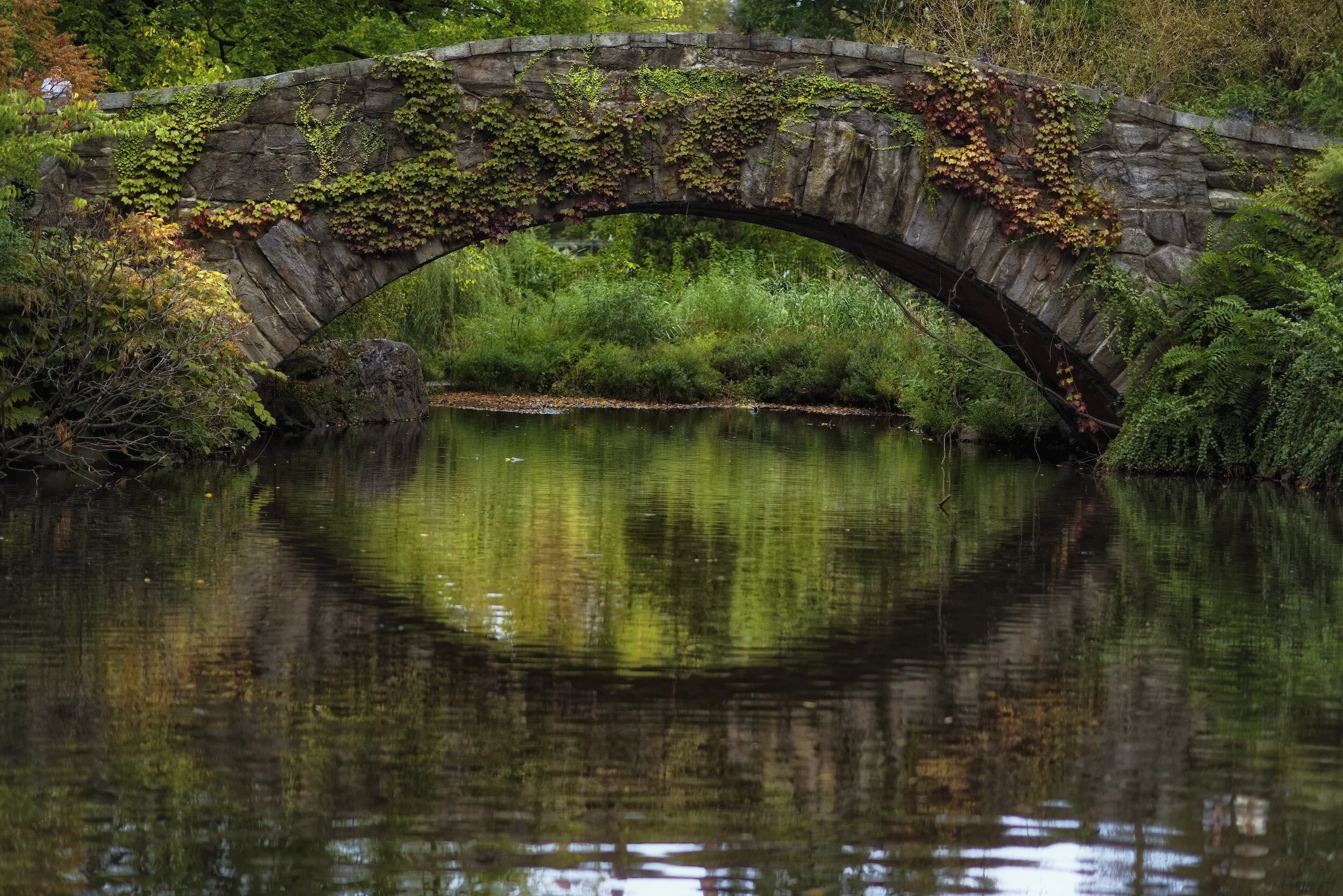 Central New York is a Great Place to Live! Here Are My Favorite Spots.