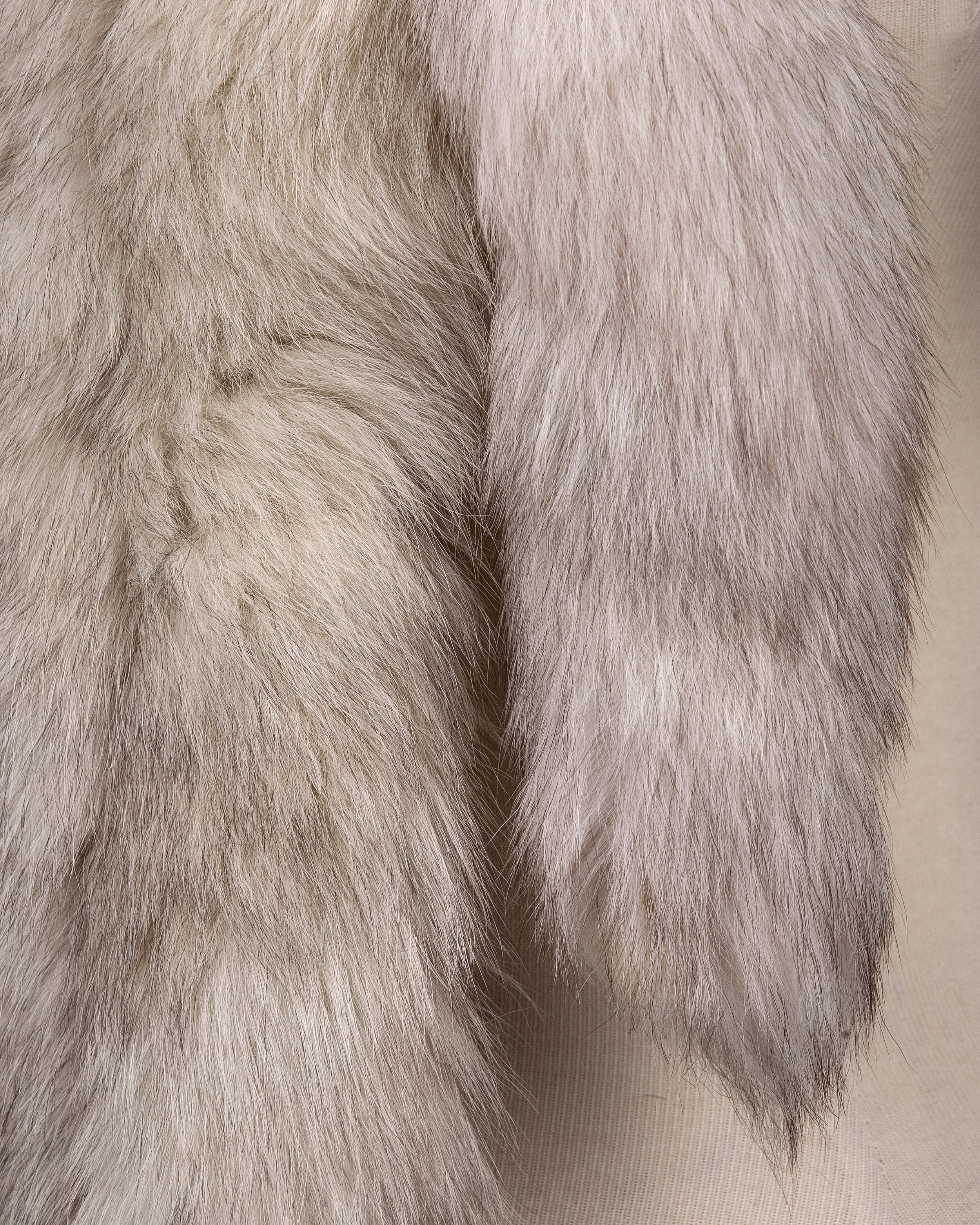 Foxtails 5.jpg