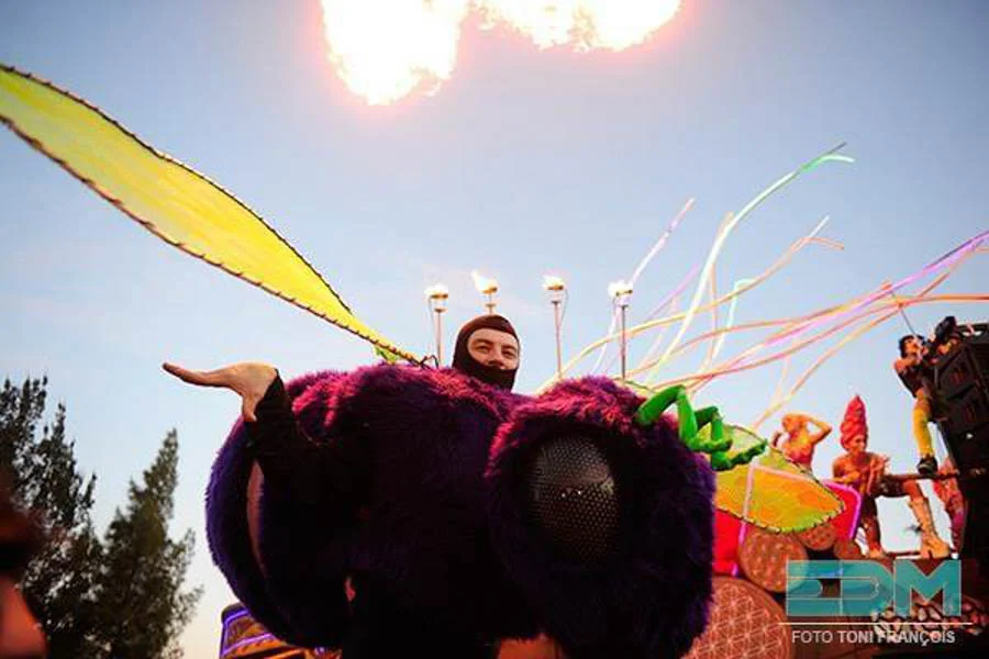 stilts.Bee.EDC.Mexico.Toni.Francois-web.jpg