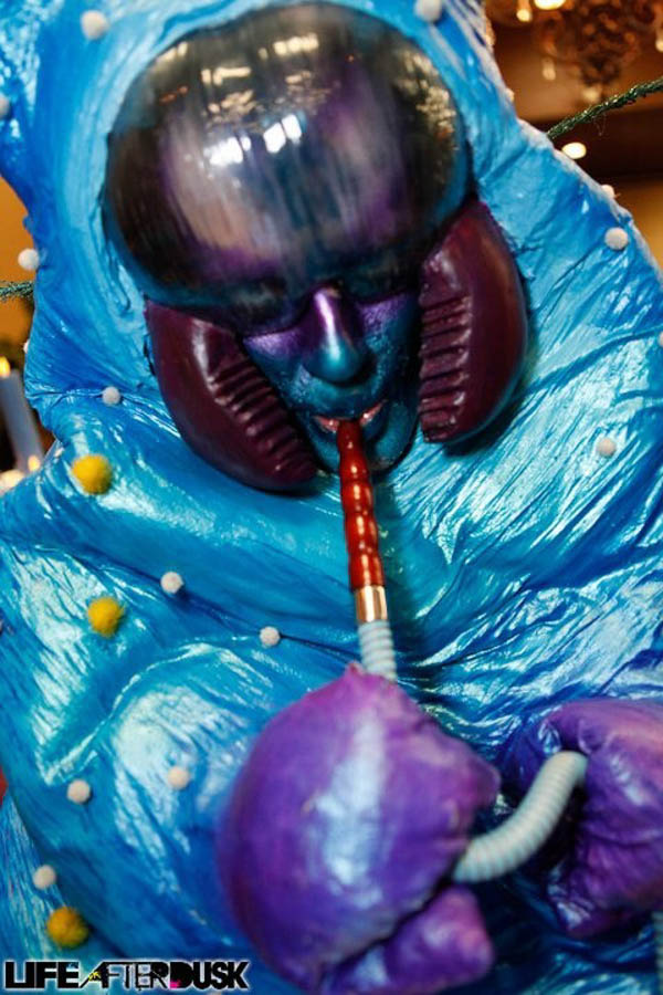 Insomniac.Caterpillar.closeup.Ben.Lin-web.jpg