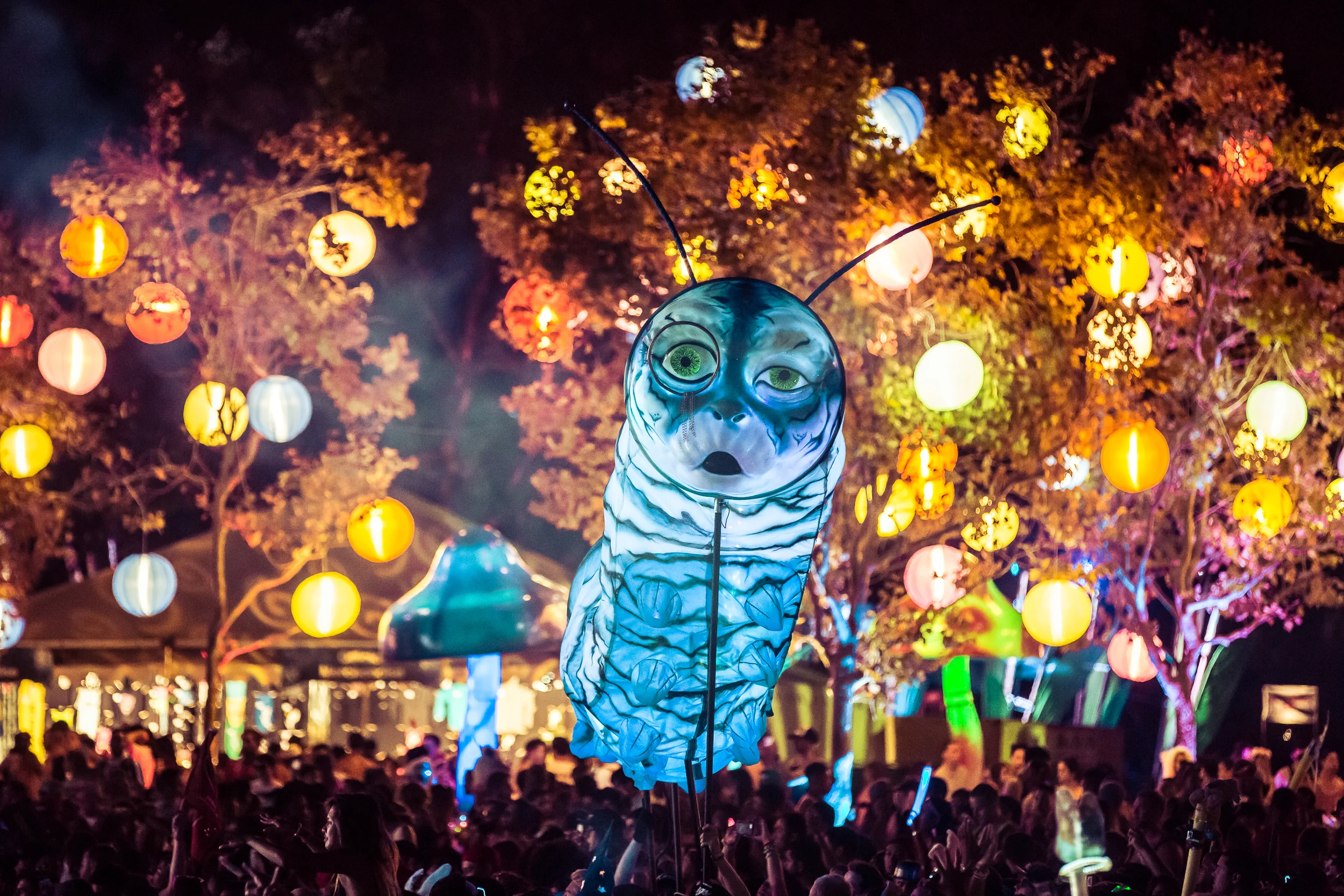 Beyond Wonderland