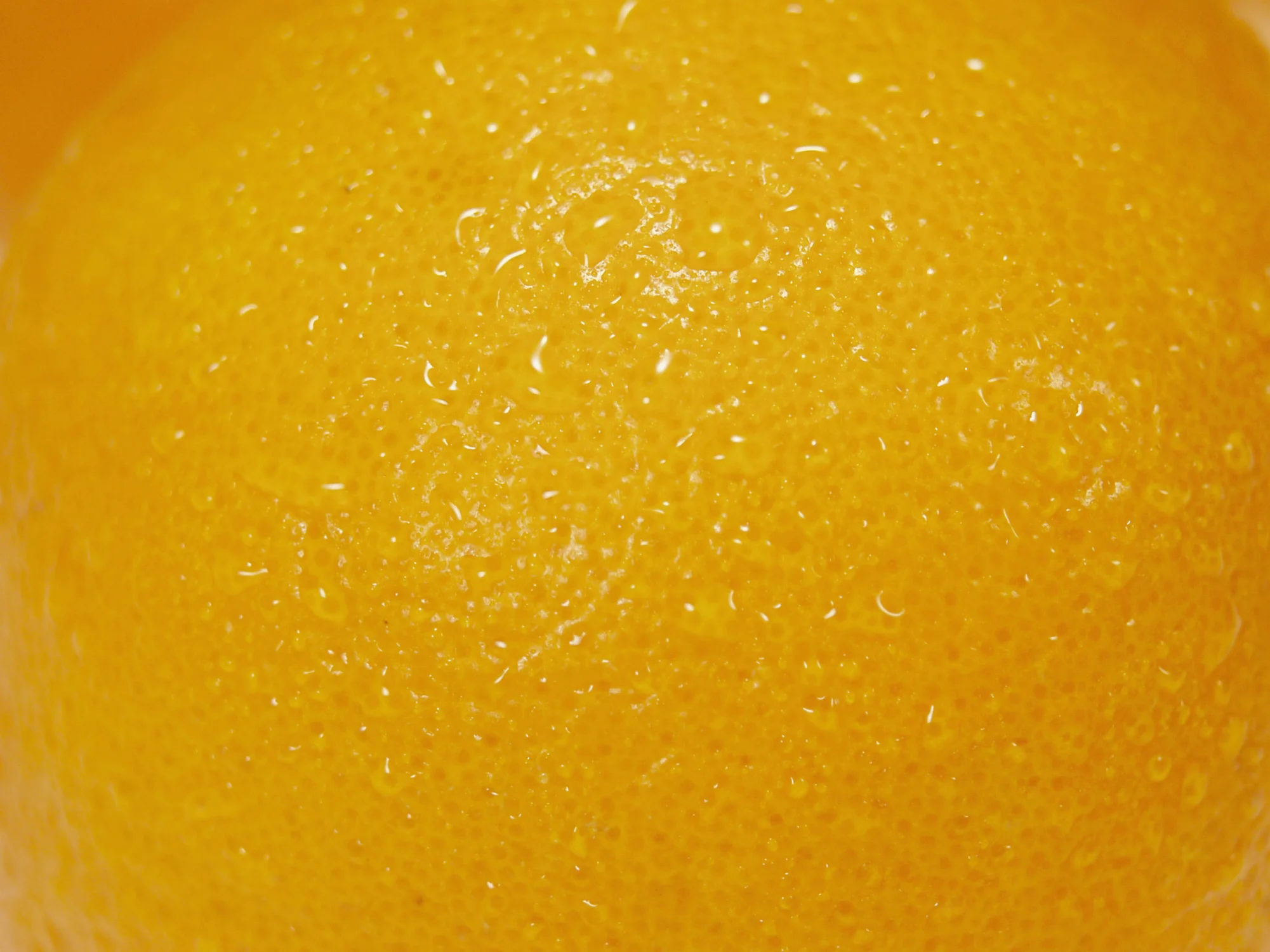 Eating Oranges in the Shower