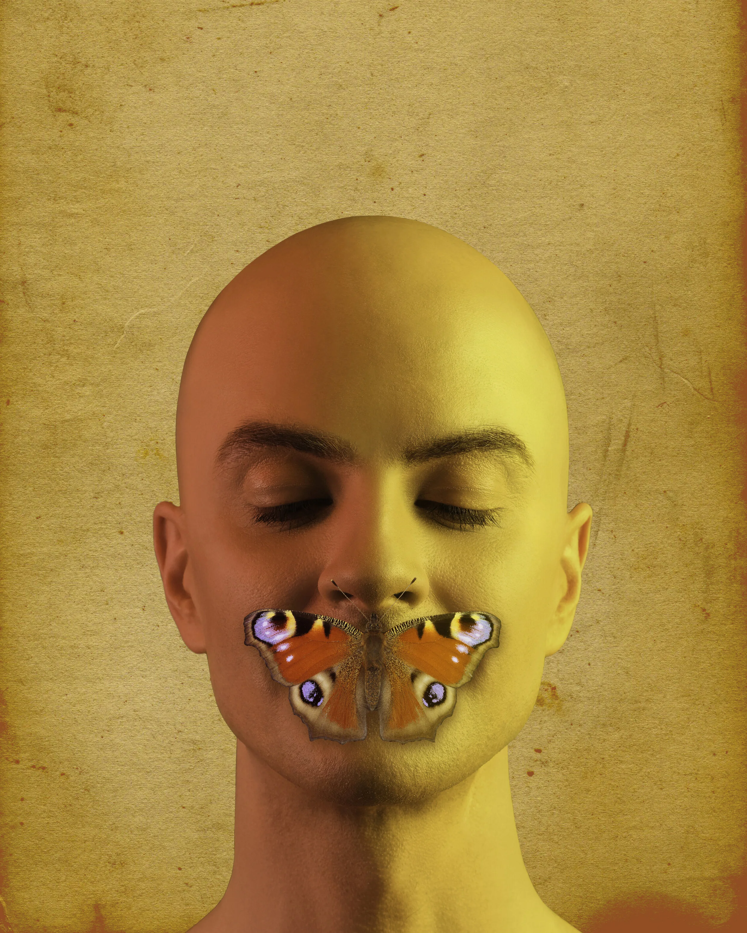 "Butterflies" Release