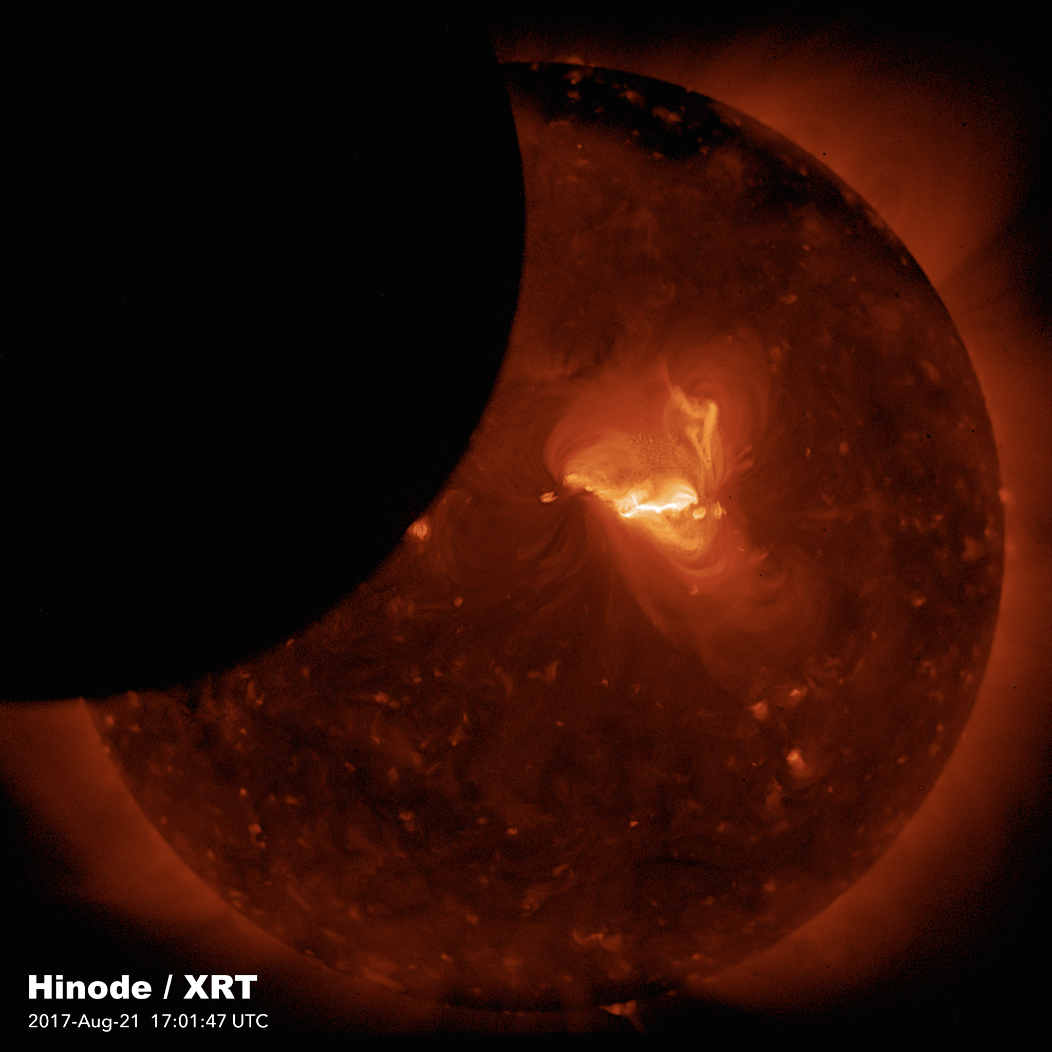 Patagonia Eclipse Livestream