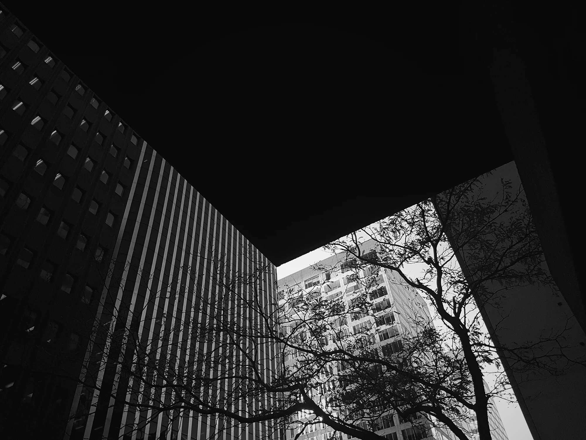 camera phone
