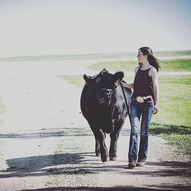 Just a girl and her steer. 👌🏻#saskatoonphotographer #yxephotographer