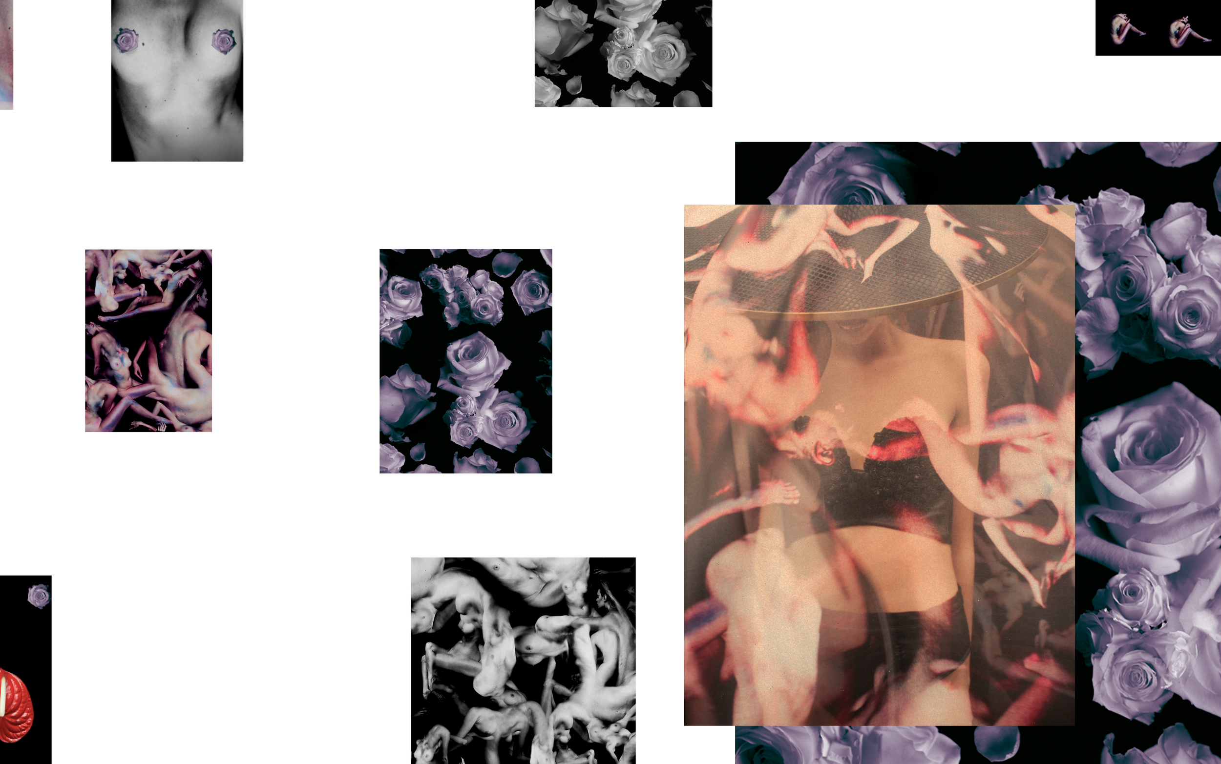 SS11_website_layoutArtboard-1-copy-6.png