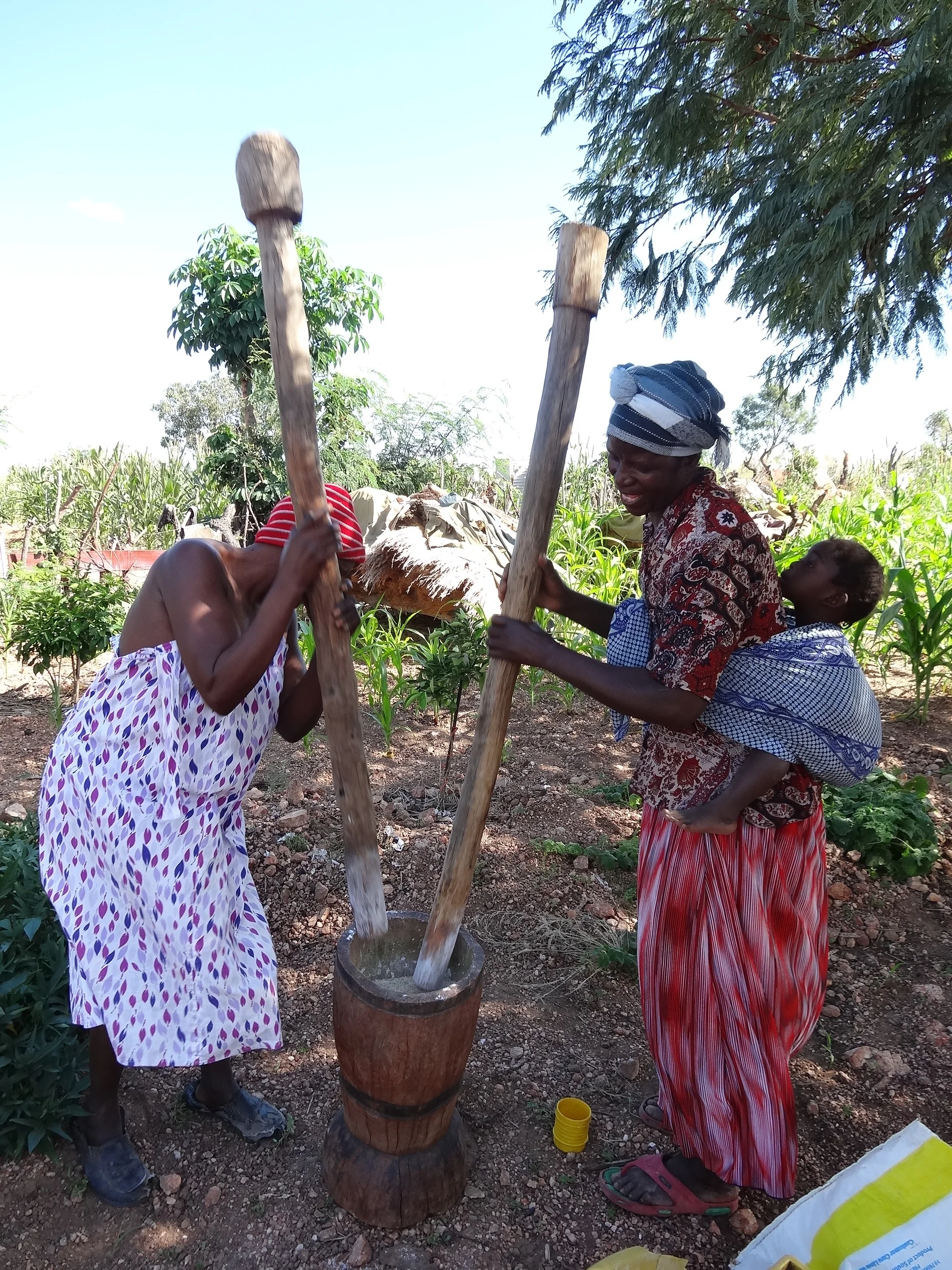 Vingerkraal- misc.- grinding millet for beer--- good.- 1JPG.jpg