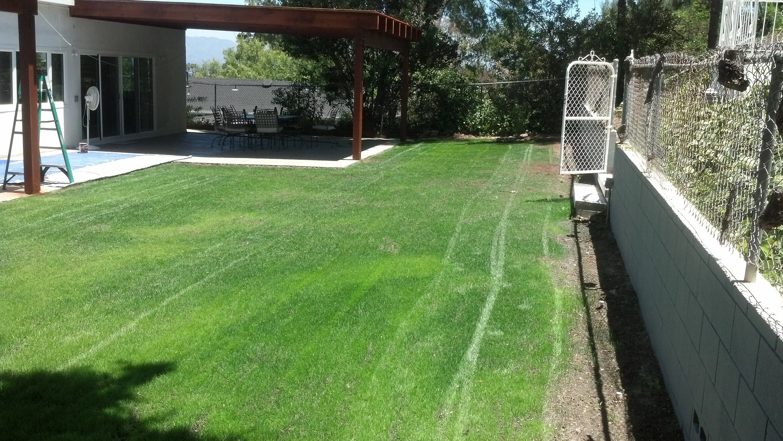 2012-06-27_12-20-25_843.jpg