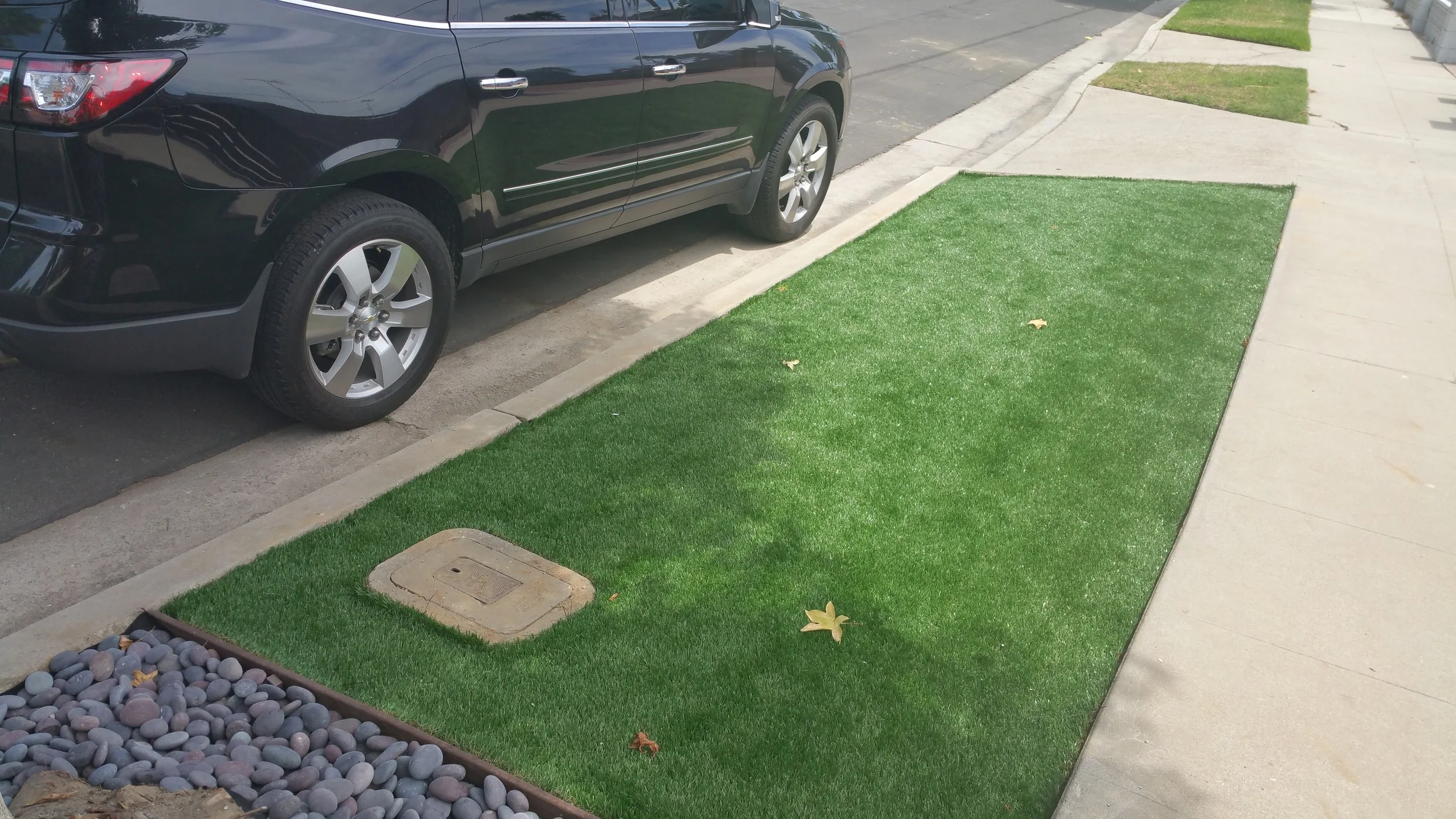 20150803_125418.jpg