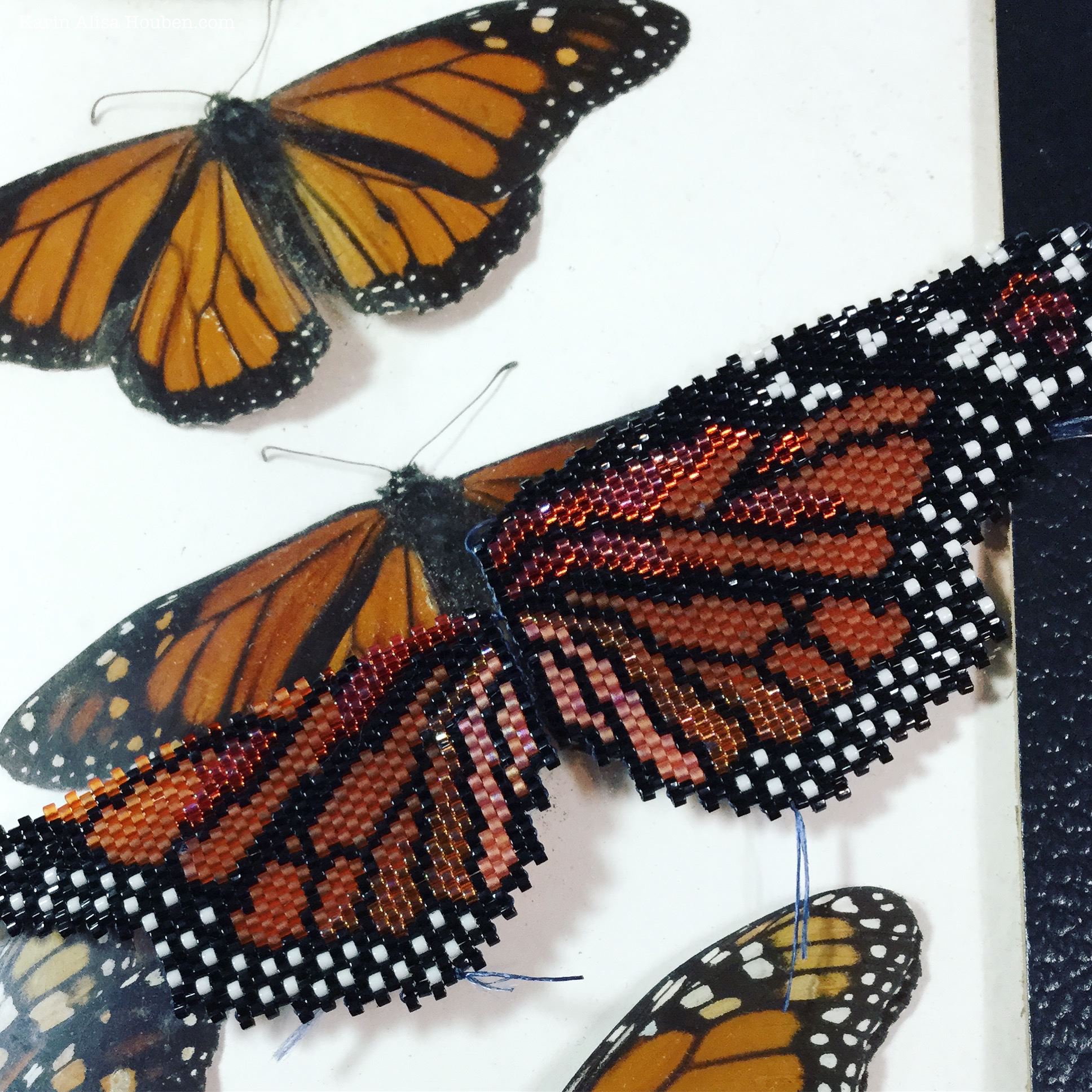 karin-alisa-houben-monarch-butterfly-progress-1.jpg