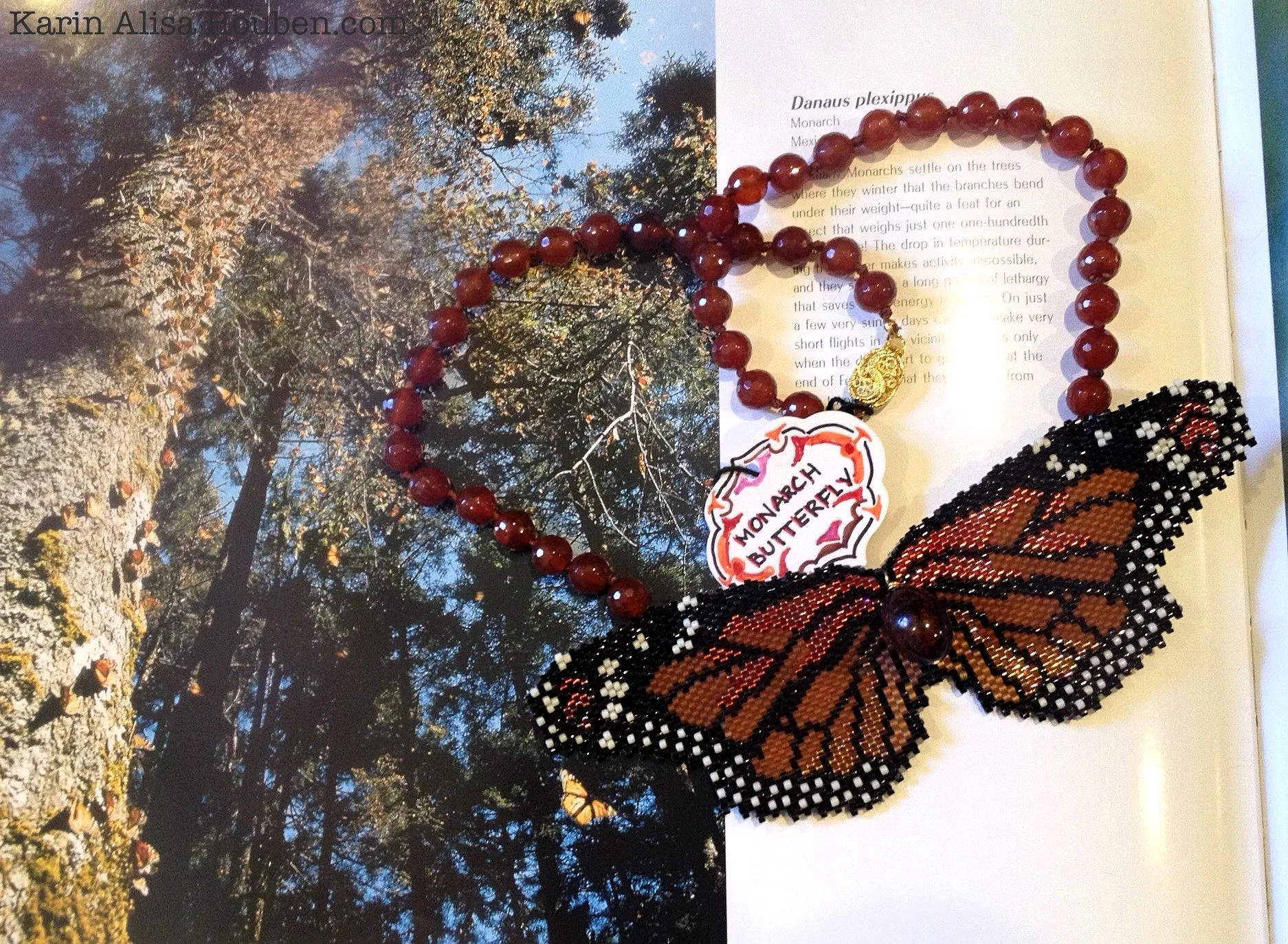 karin-alisa-houben-monarch-butterfly.jpg