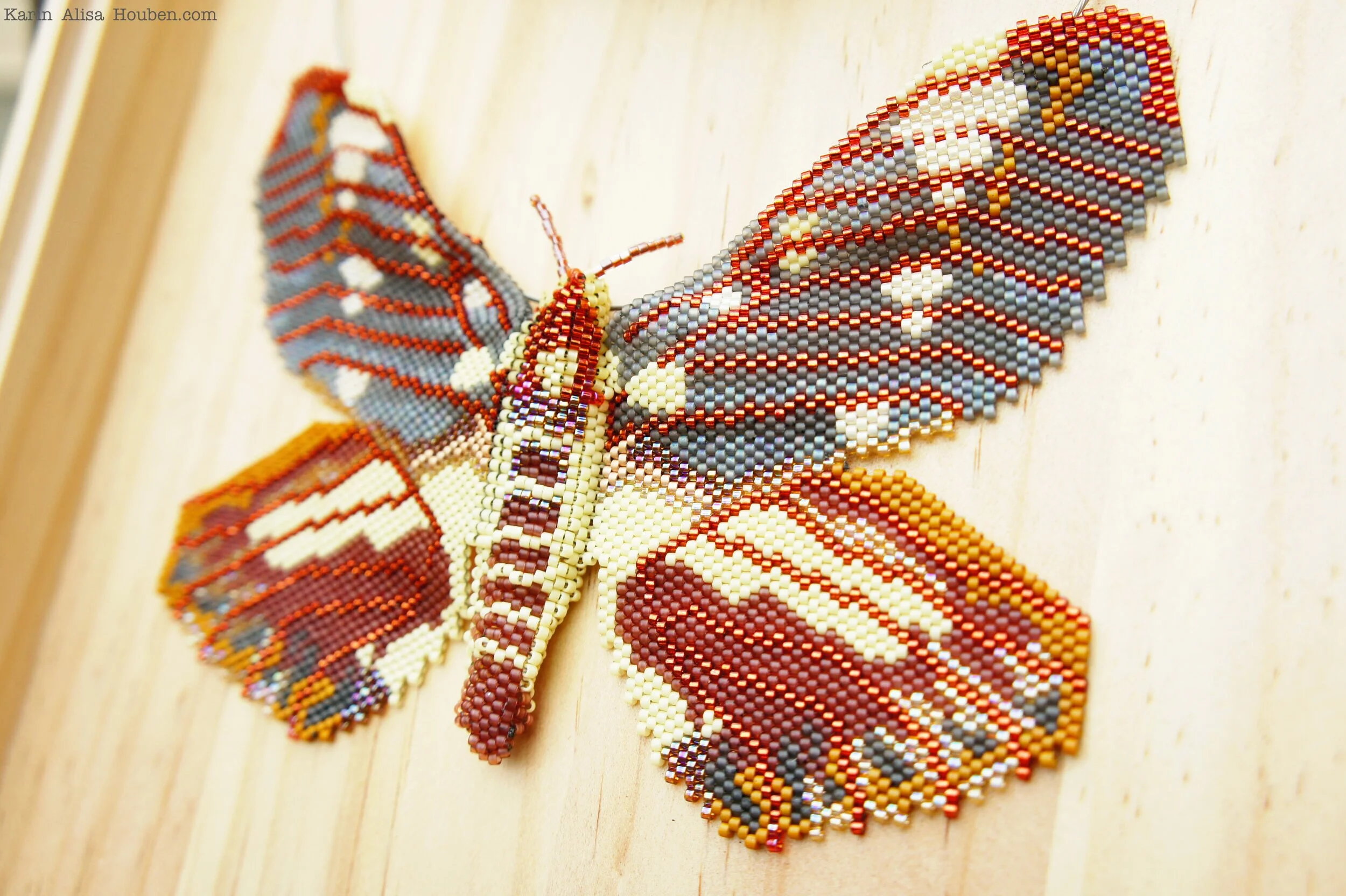 karin-alisa-houben-regal-moth-7.jpg