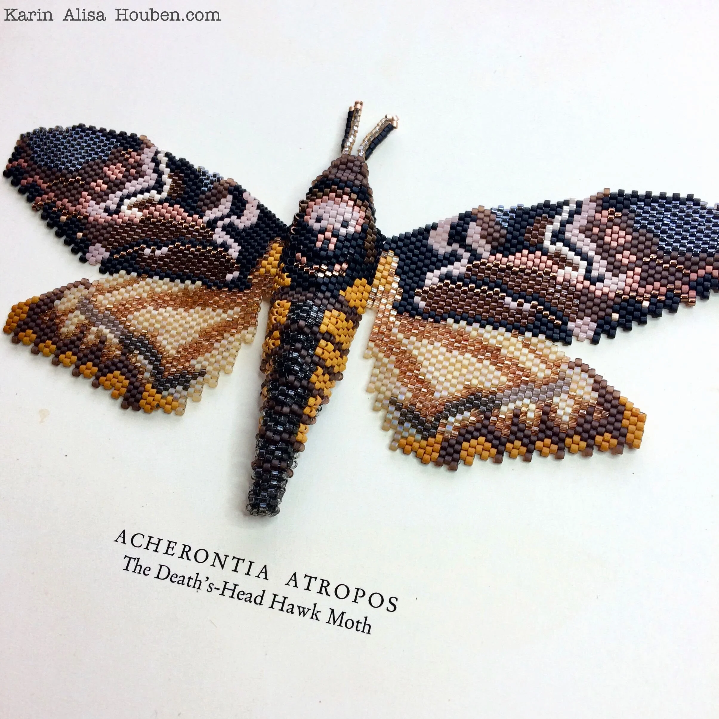 karin-alisa-houben-deaths-head-hawkmoth-28.jpg