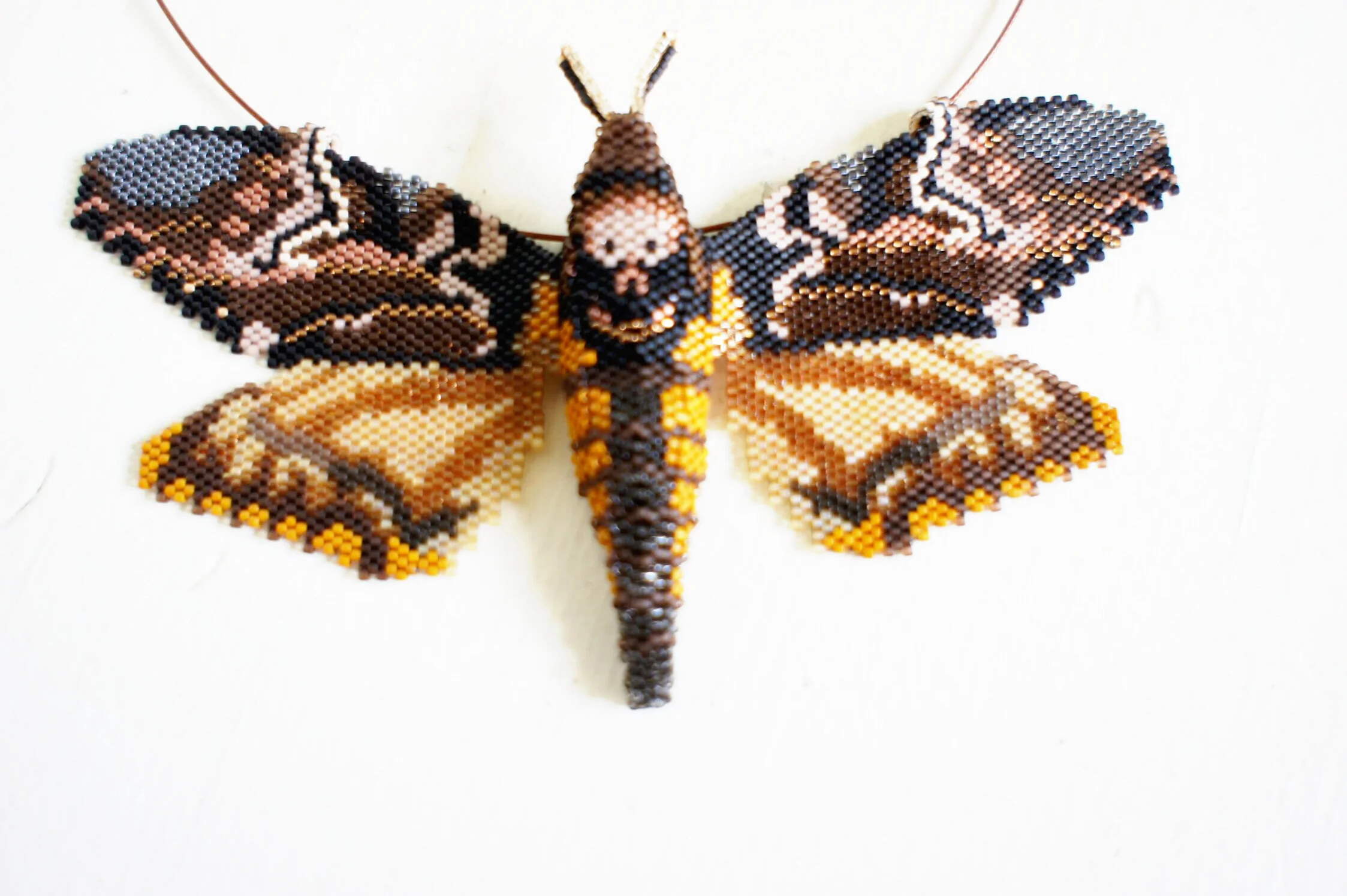 karin-alisa-houben-deaths-head-hawkmoth-19.jpg