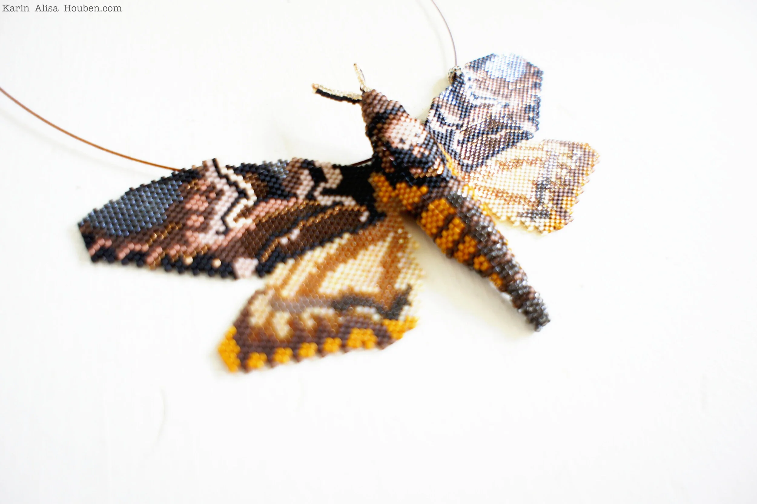 karin-alisa-houben-deaths-head-hawkmoth-21.jpg