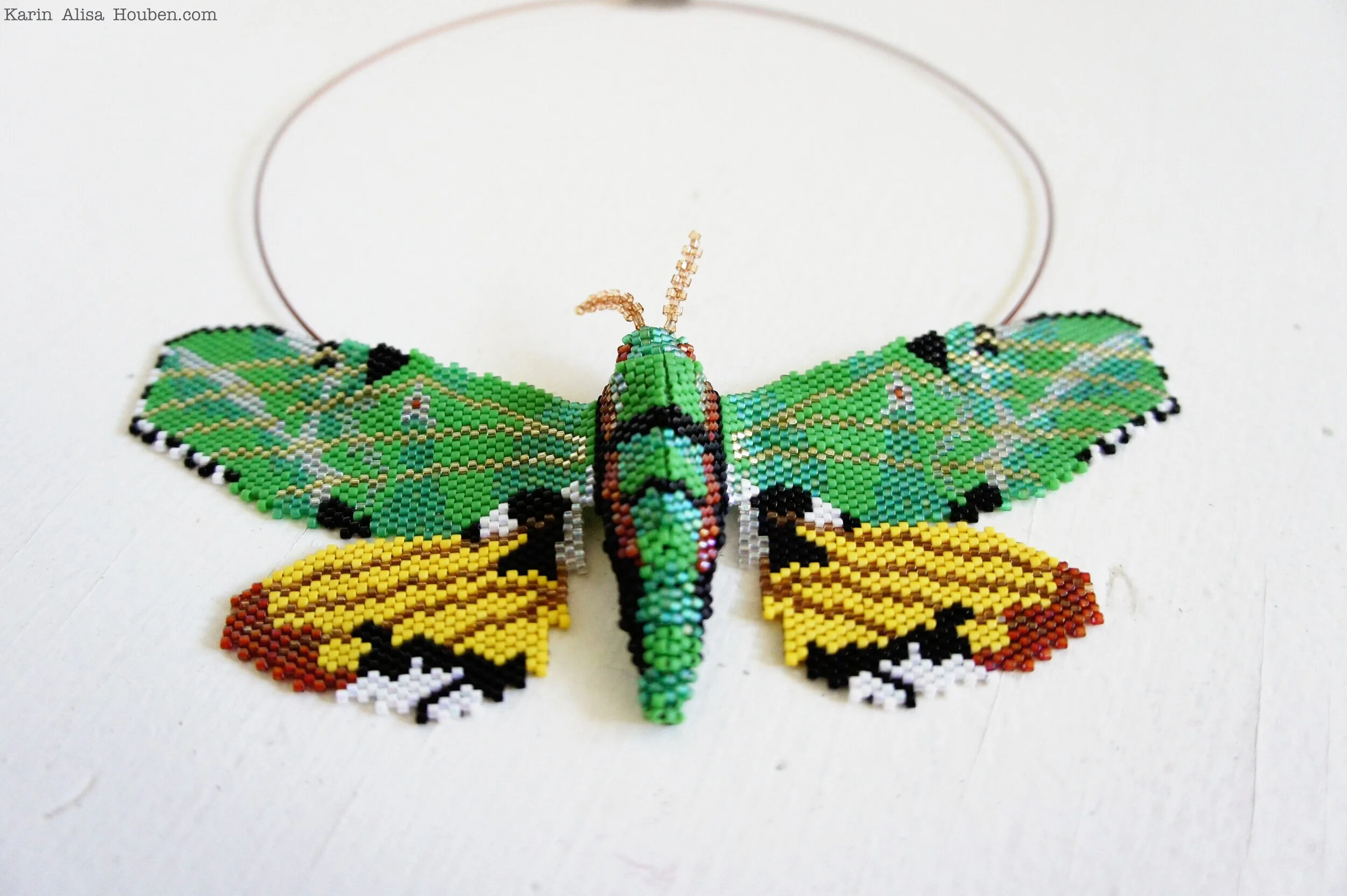 karin-alisa-houben-verdant-sphinx-moth-8.jpg