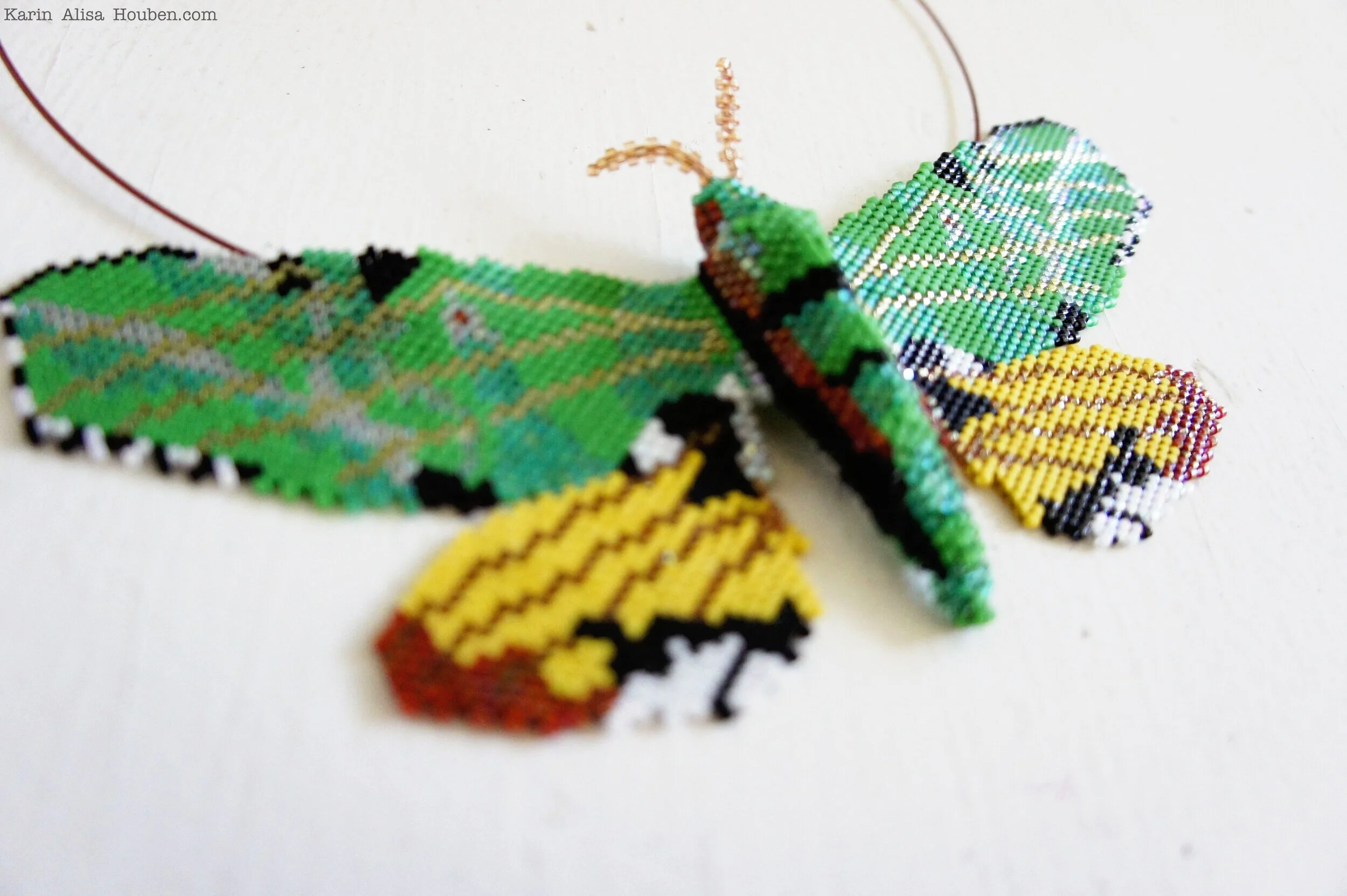 karin-alisa-houben-verdant-sphinx-moth-11.jpg