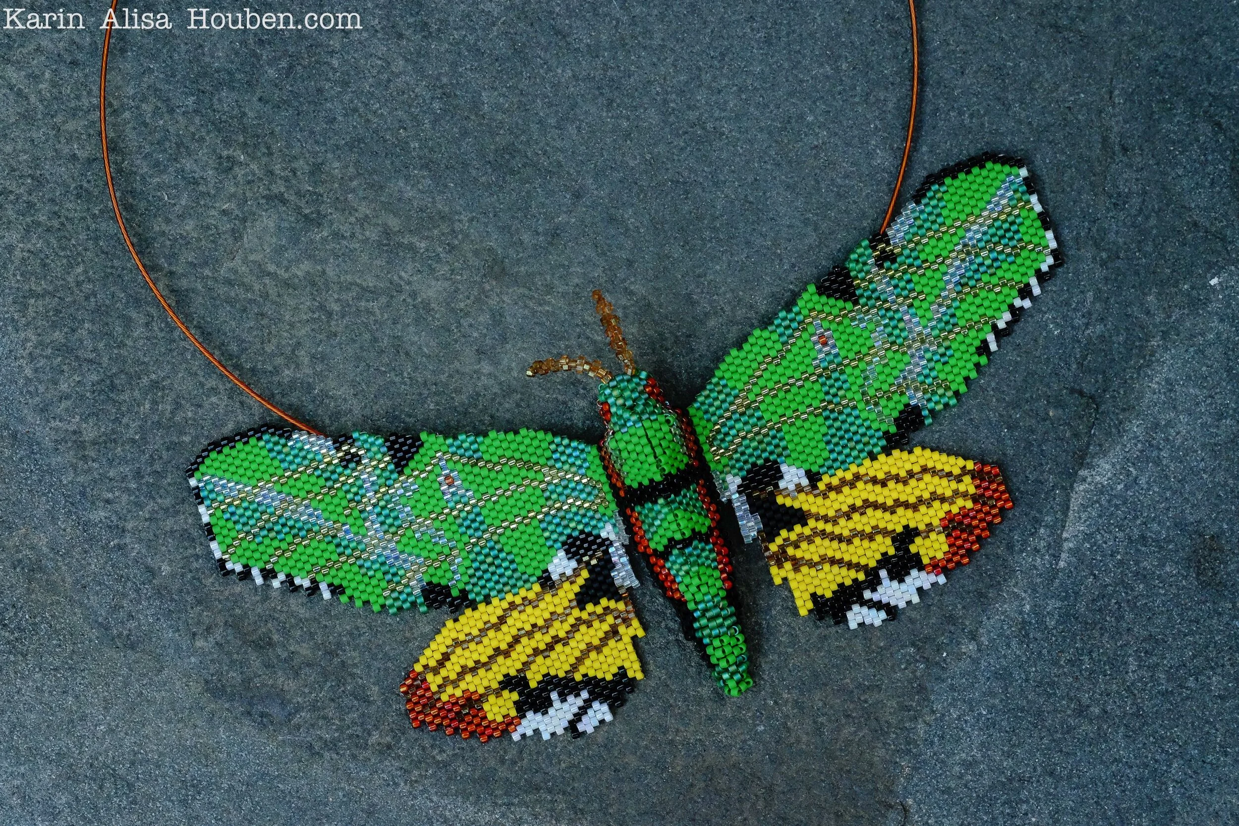 karin-alisa-houben-verdant-sphinx-moth-ks2.jpg