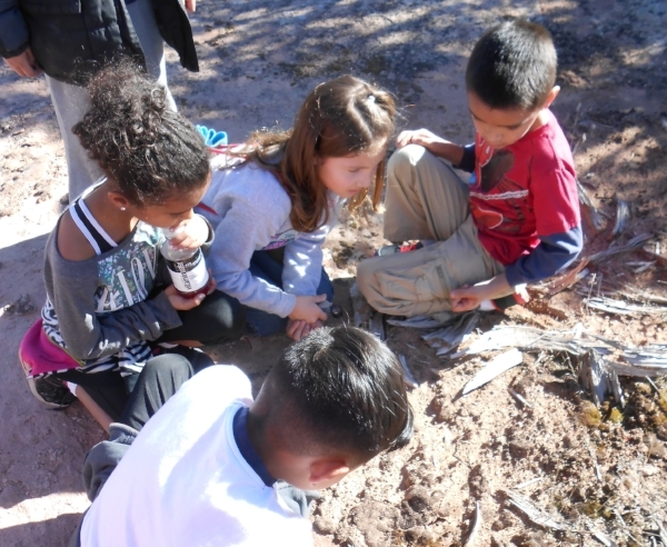 We're looking for volunteers to help staff six activity stations covering topics centered around the cultural resources of the Fruita Paleo Area. Rest assured you don't need to be an expert to help out, we have everything you'll need to be successful no matter your own level of knowledge!